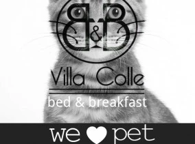 logo-villa-colle